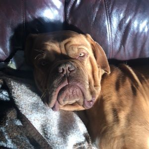 Meet your Posher, Chris